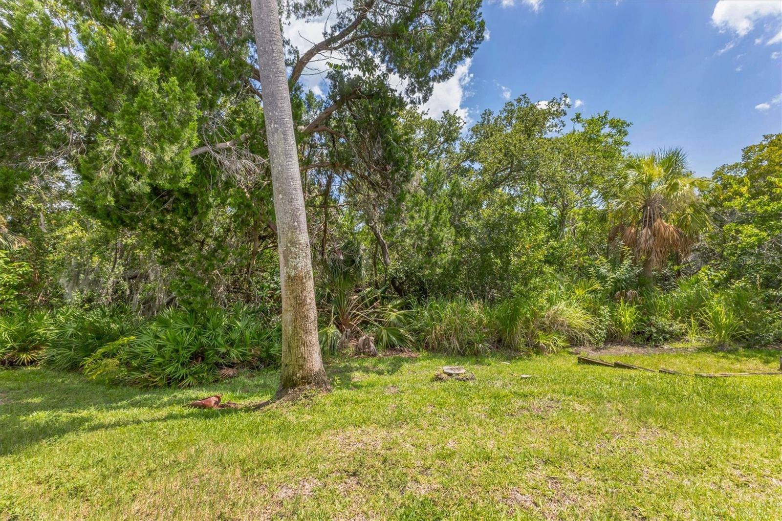 1711 Starling Dr #1711 Property Photo 28