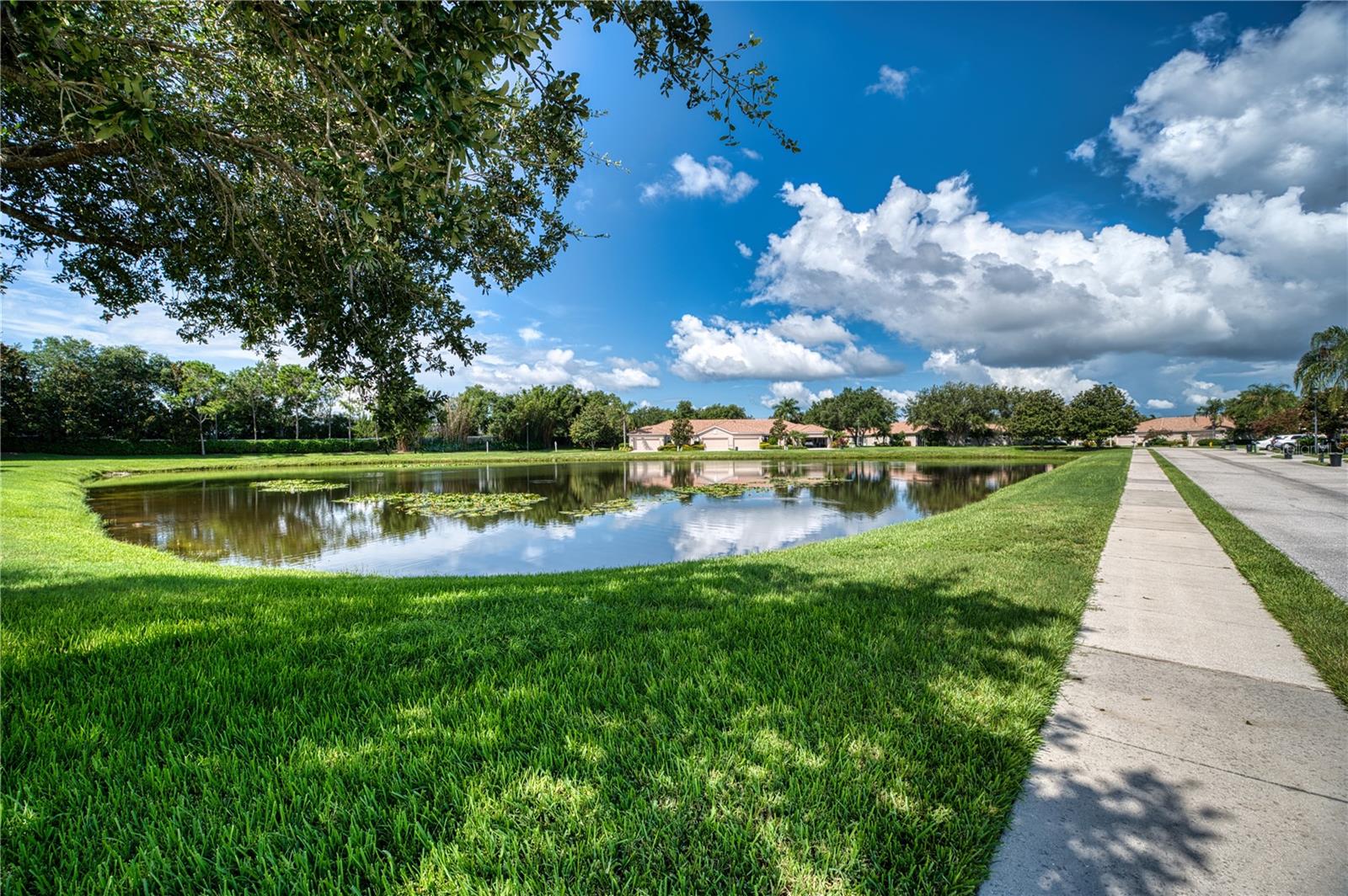 4271 Cascade Falls Dr Property Photo 25