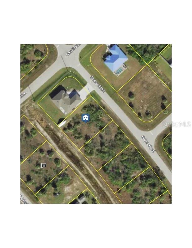 8139 BOSCO RD Property Photo 1