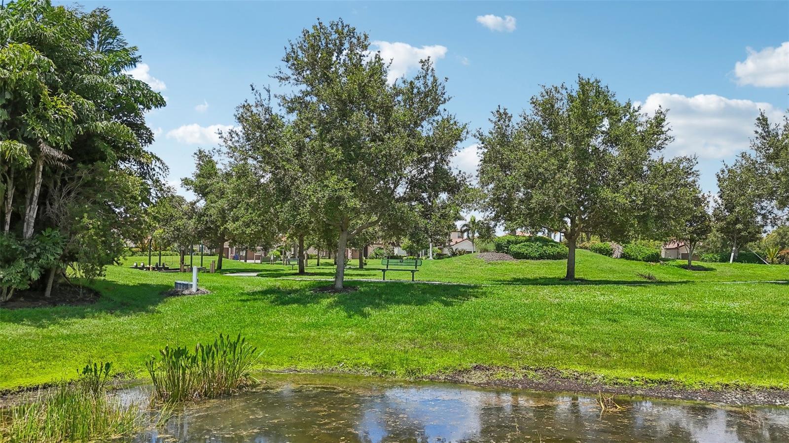 13215 Ramblewood Trl Property Photo 48