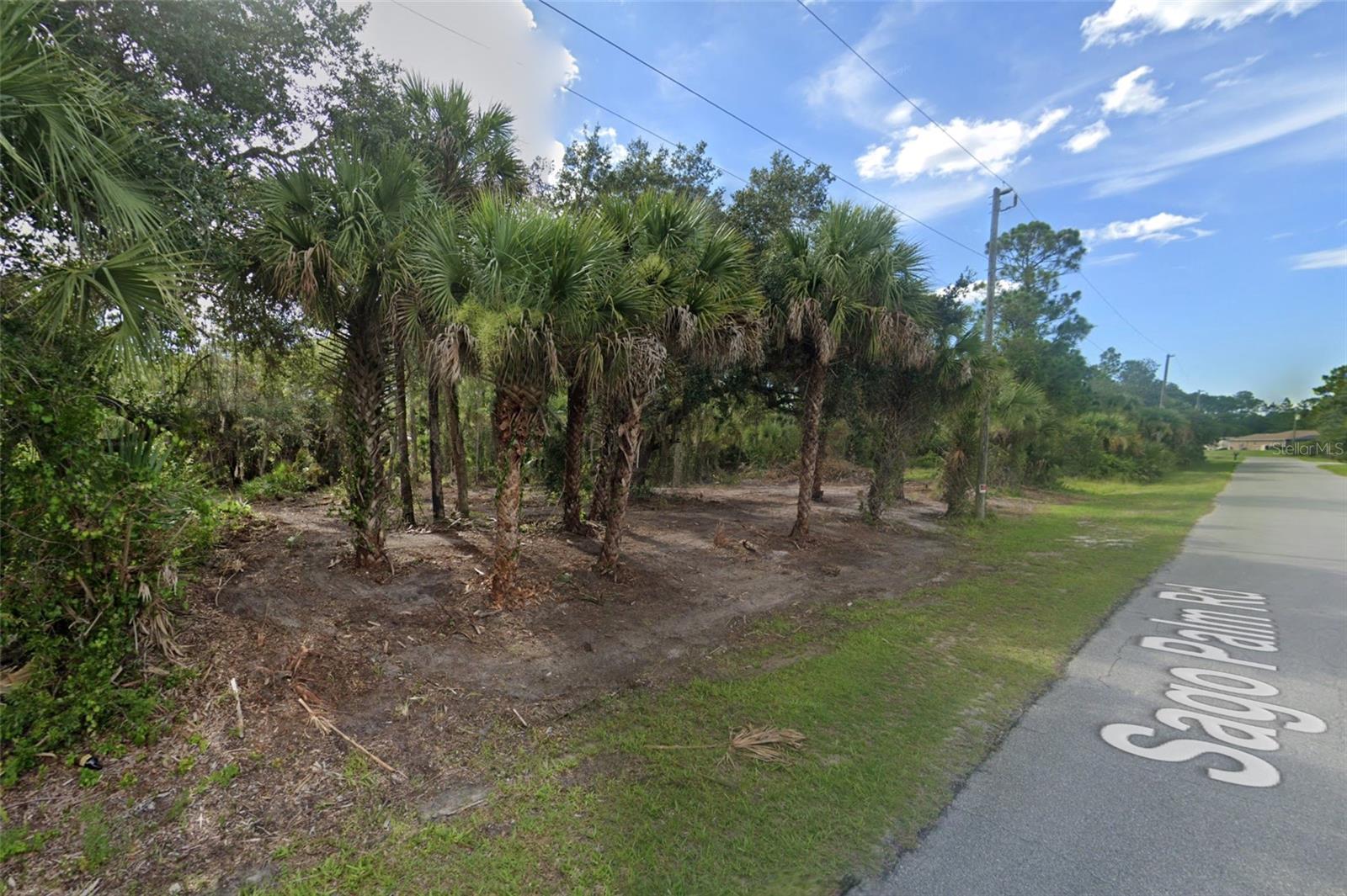 Lot 20 & 21 Sago Palm Rd Property Photo 2