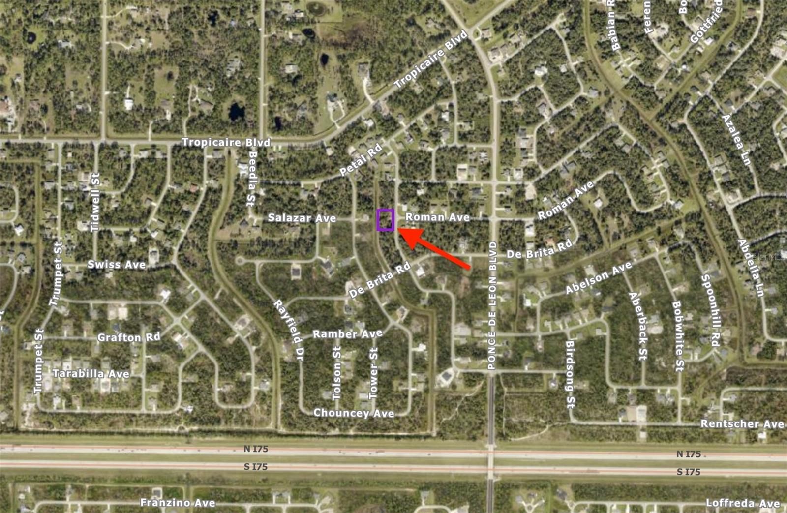 Lot 20 & 21 Sago Palm Rd Property Photo 5