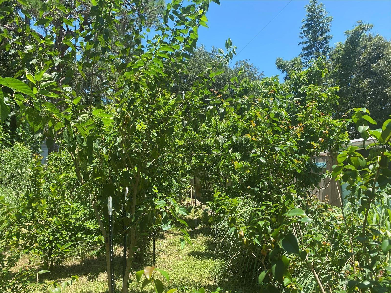 456 Washington Ave Property Photo 5