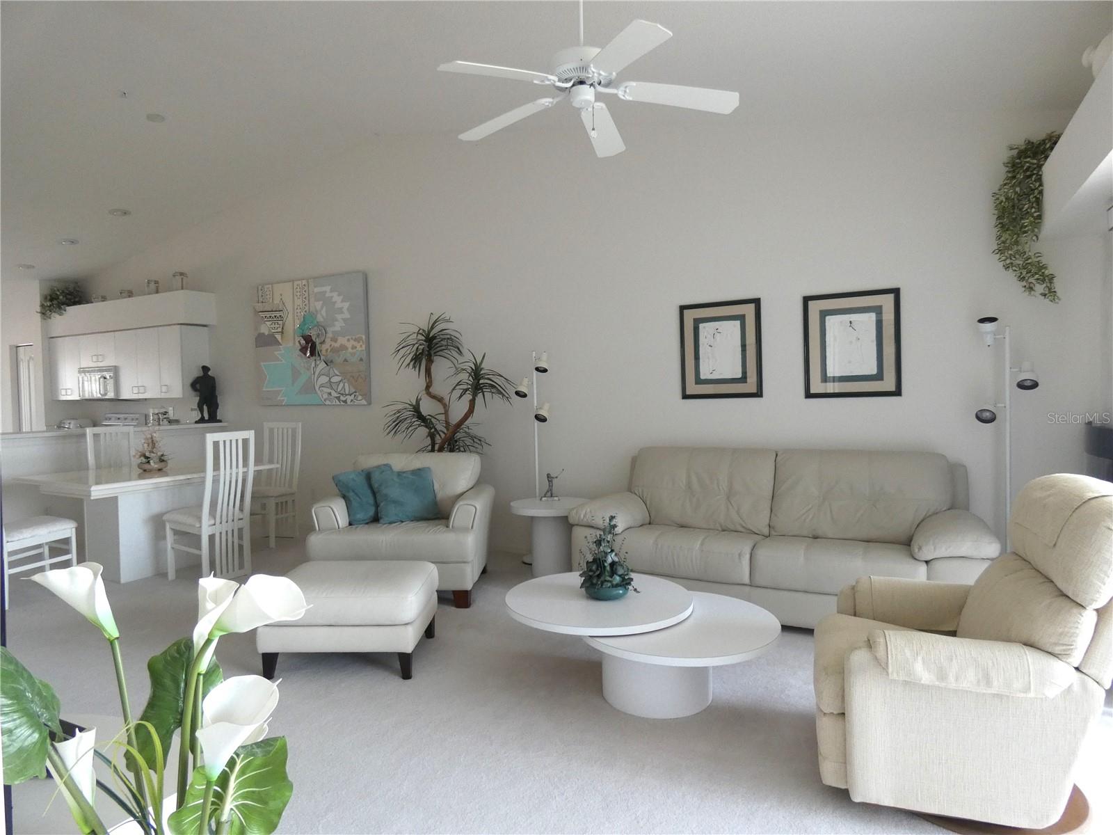 9641 Castle Point Dr #1225 Property Photo 8