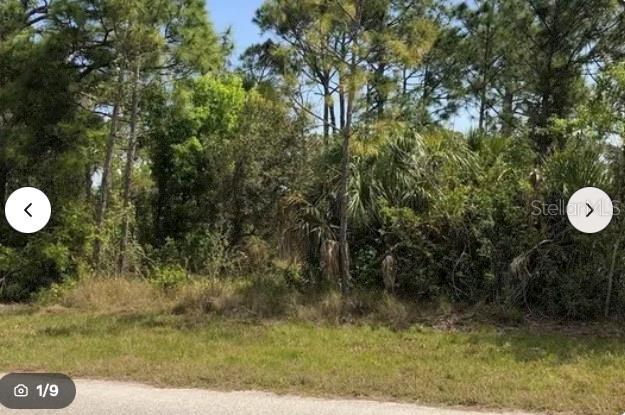 8198 Ditmar St Property Photo 1