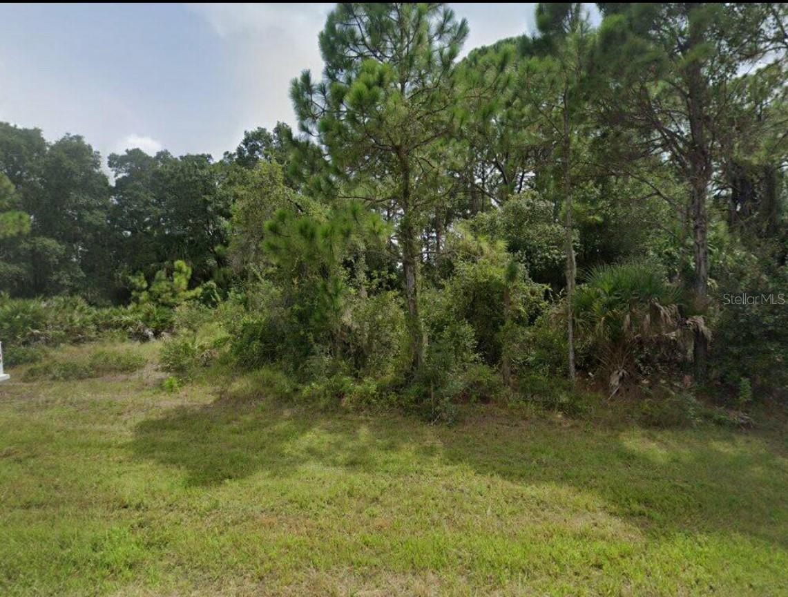 13343 Chamberlain Blvd Property Photo 1