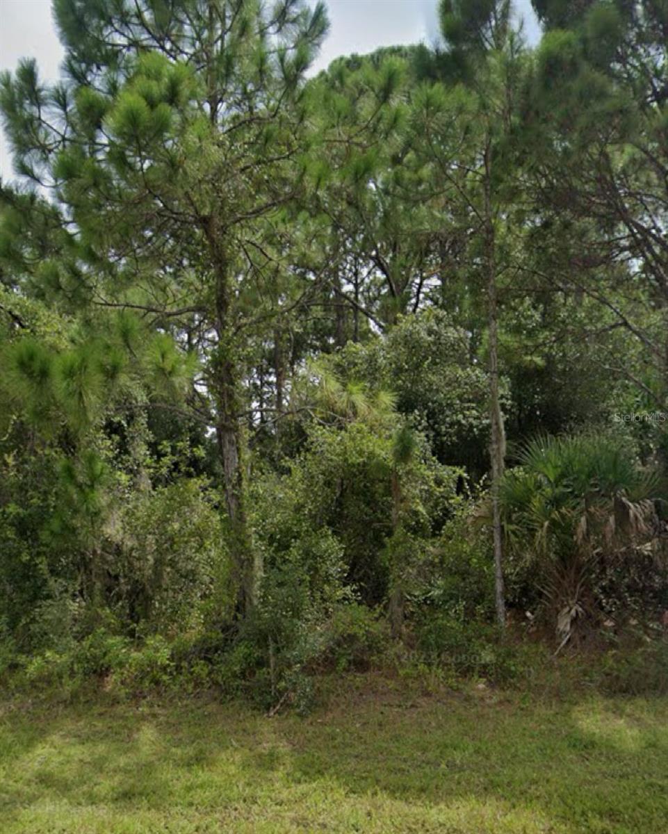 13343 Chamberlain Blvd Property Photo 2