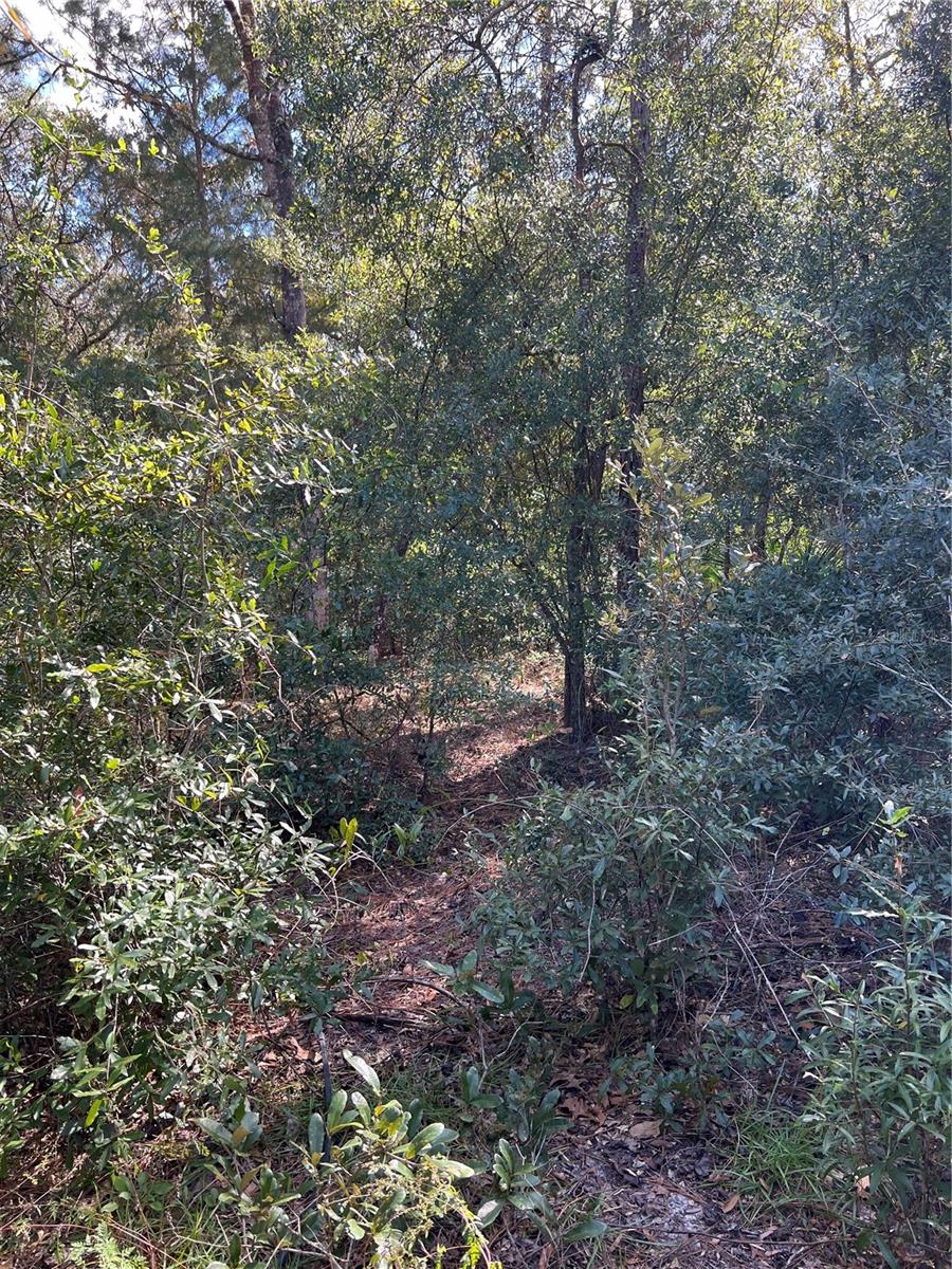 5650 W Kettle Ln Property Photo 8
