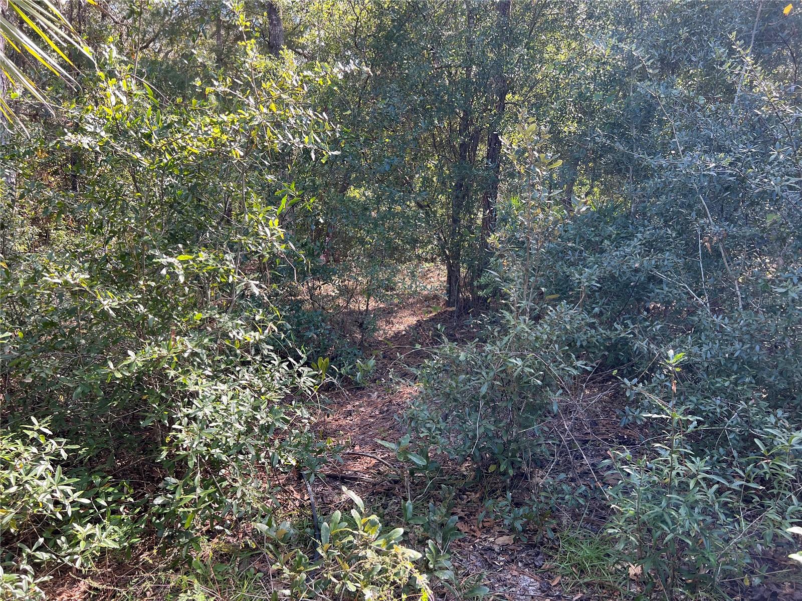 5650 W Kettle Ln Property Photo 9