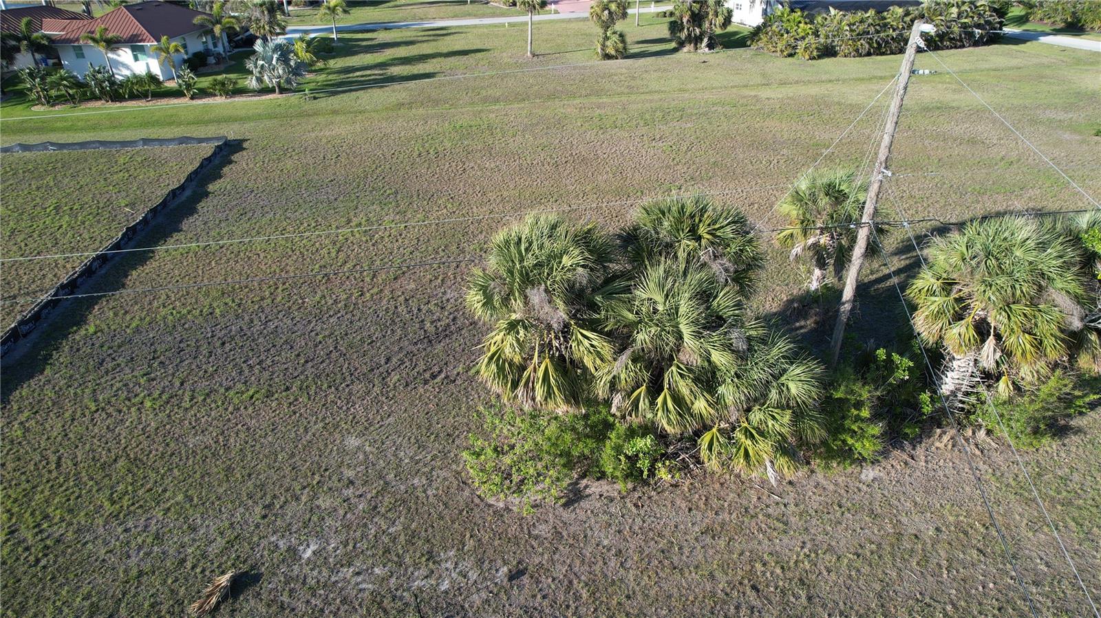 24068 Peppercorn Rd Property Photo 6