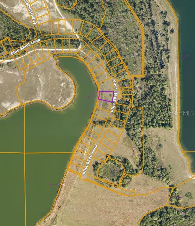 1018 Blue Shell Loop Property Photo 62