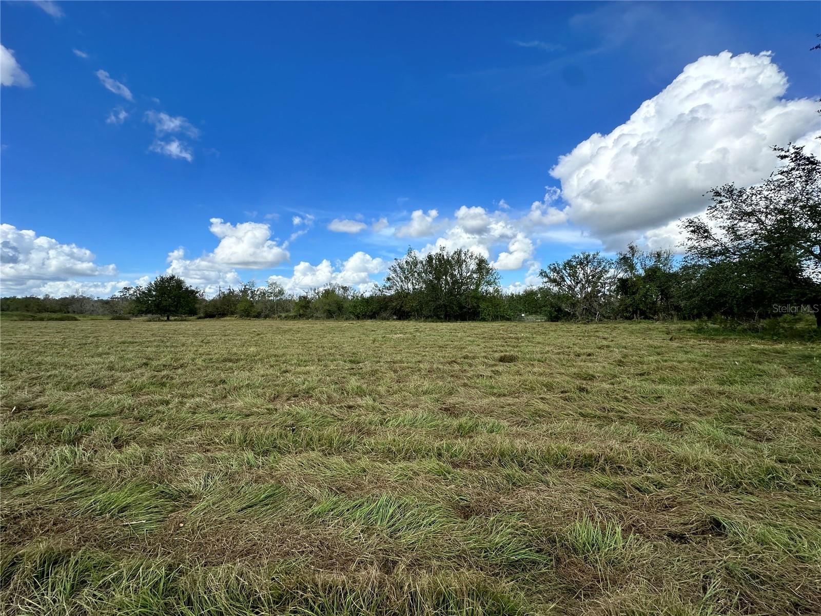 Wauchula Rd Property Photo 2