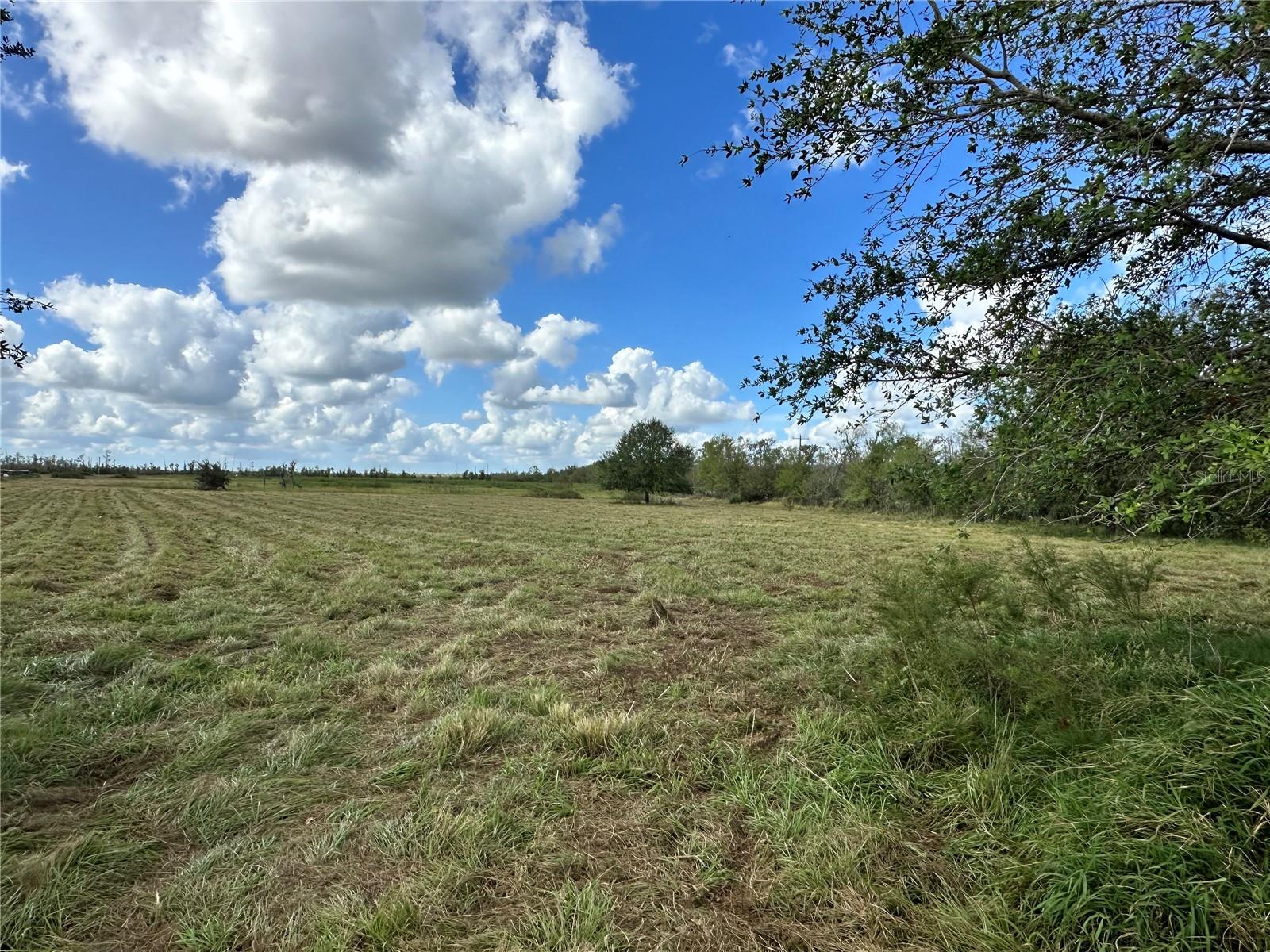 Wauchula Rd Property Photo 3