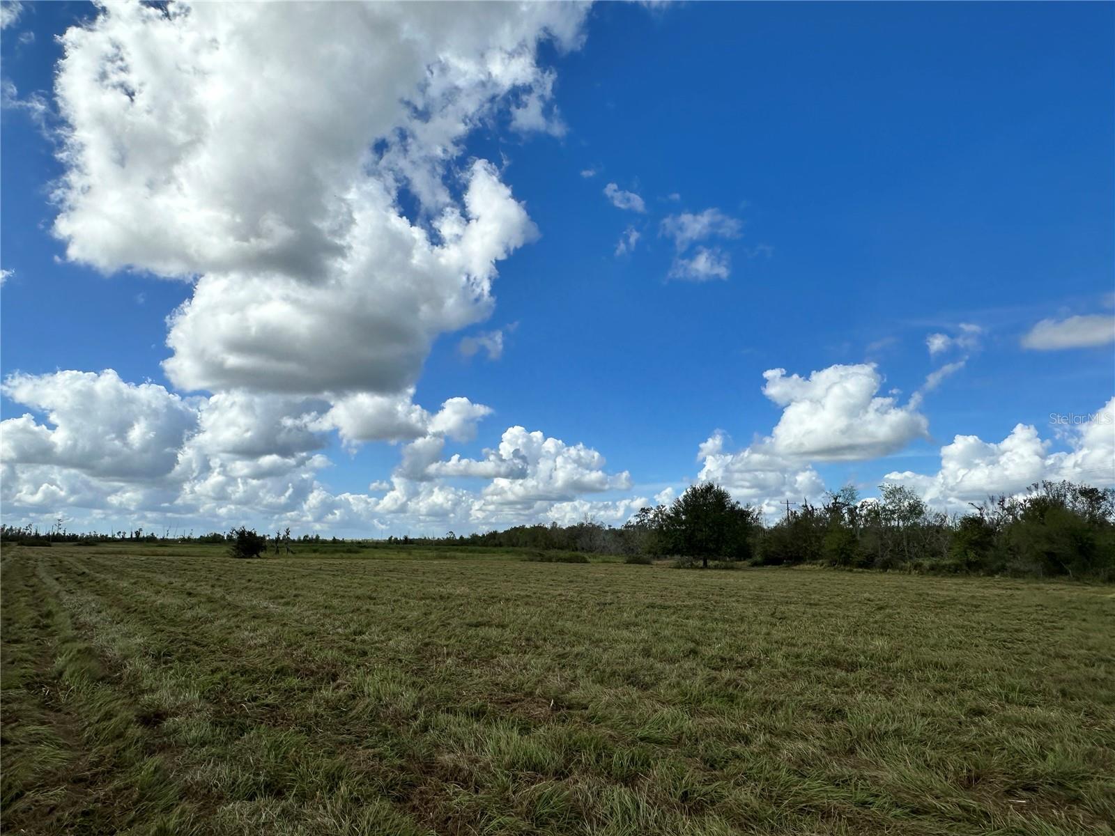 Wauchula Rd Property Photo 4