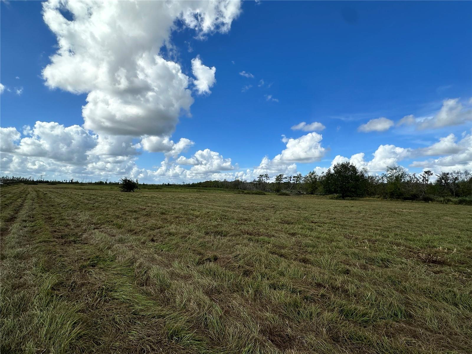 Wauchula Rd Property Photo 6