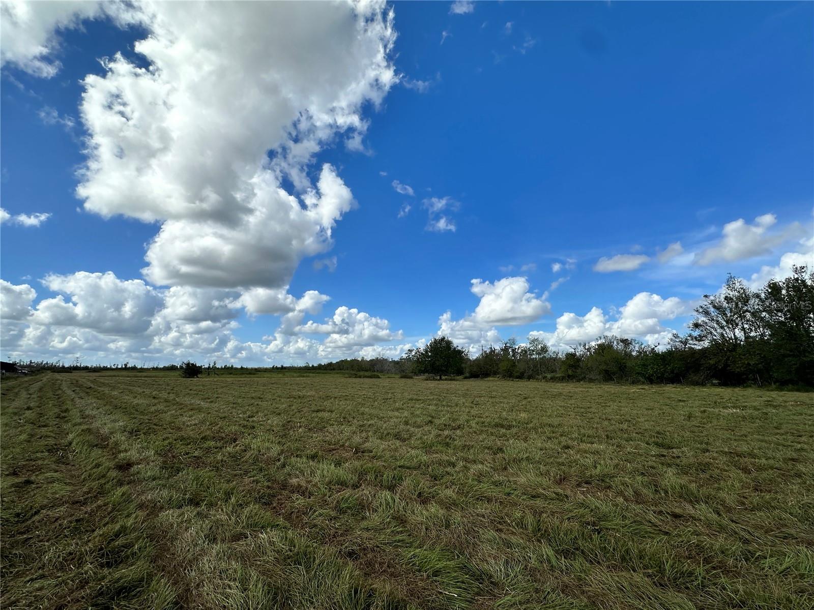 Wauchula Rd Property Photo 7