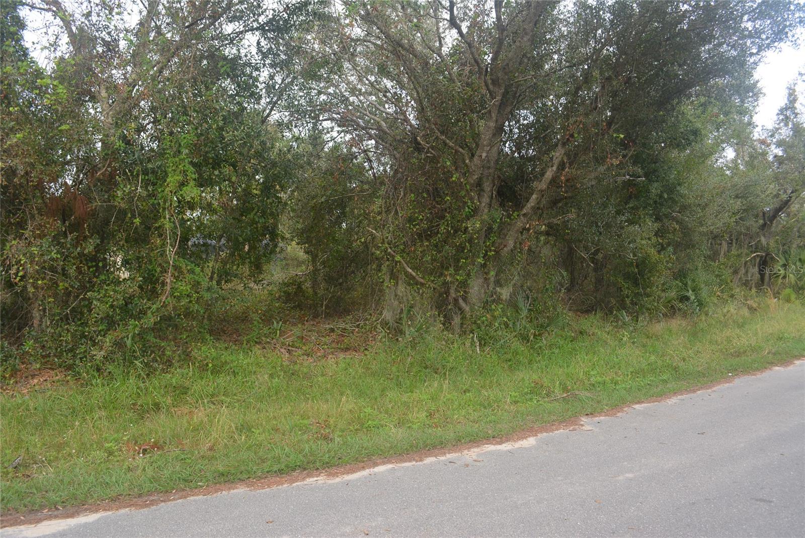 Maddock Cir Property Photo 8