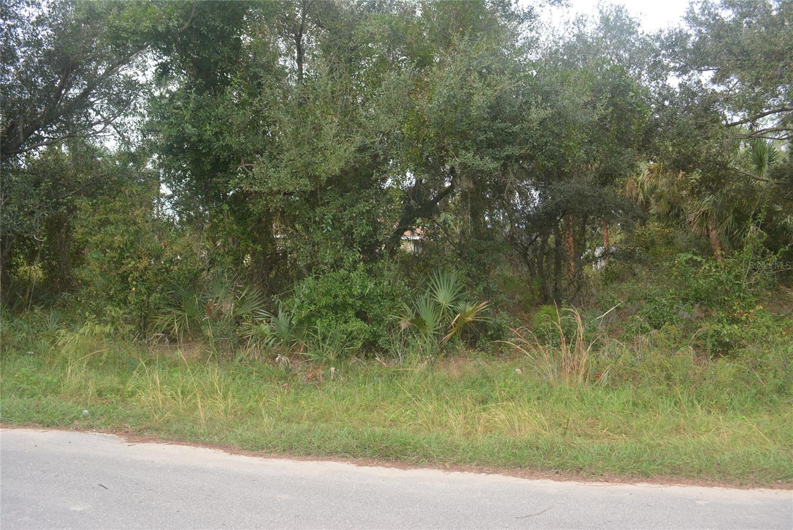 Maddock Cir Property Photo 10