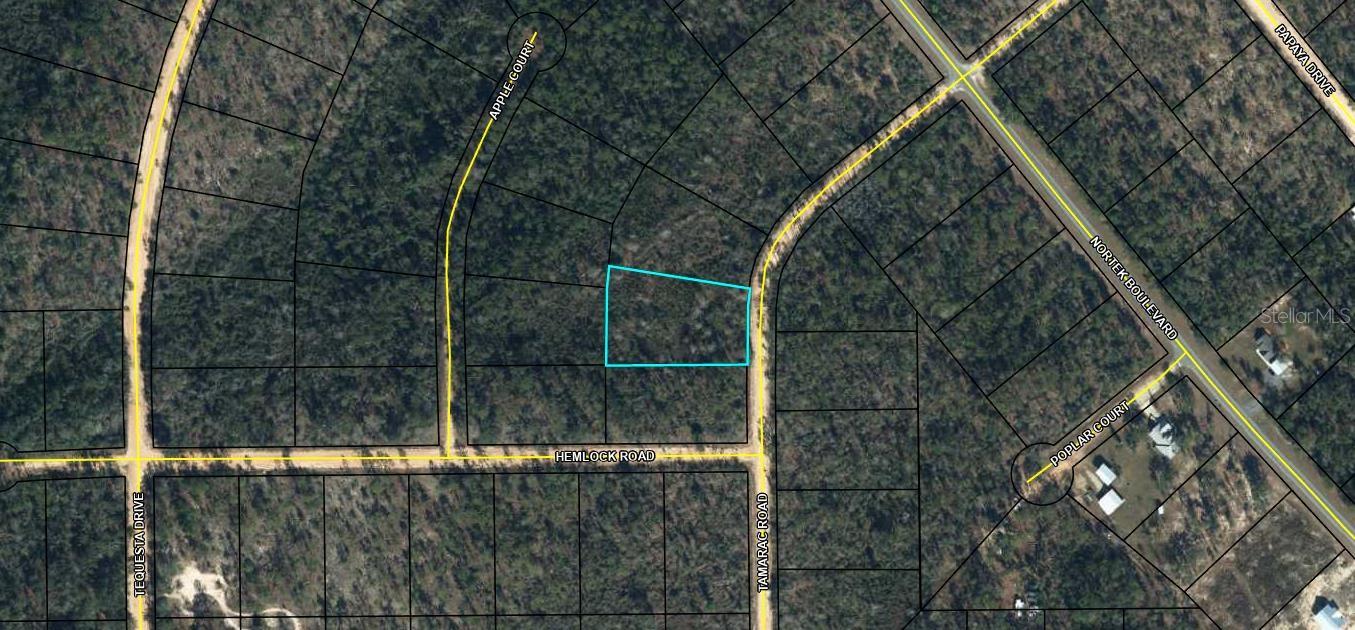 Property Image