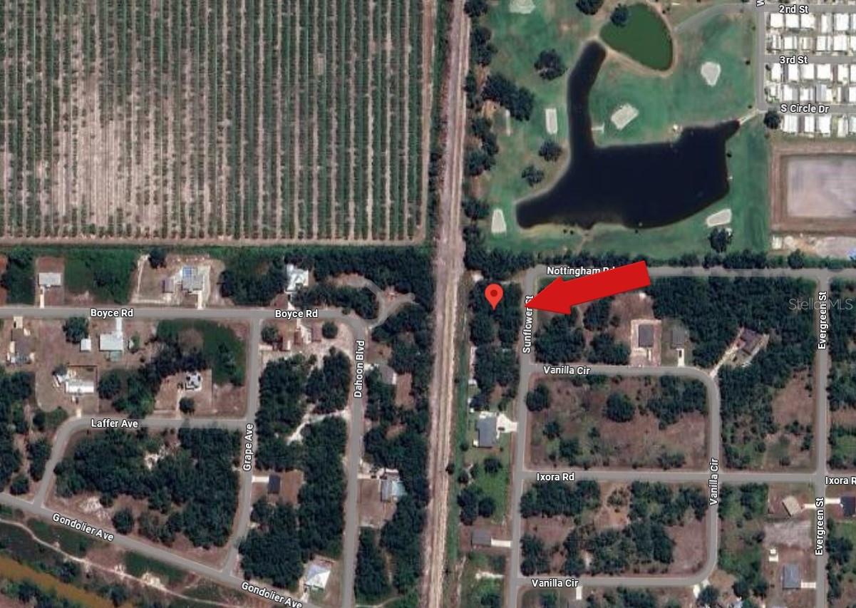 13 Sunflower St Property Photo 3