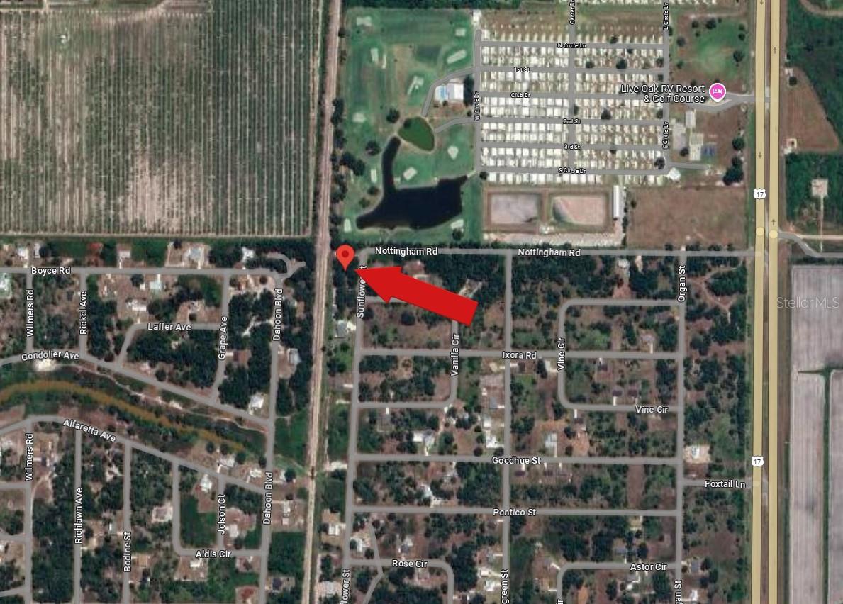 13 Sunflower St Property Photo 4