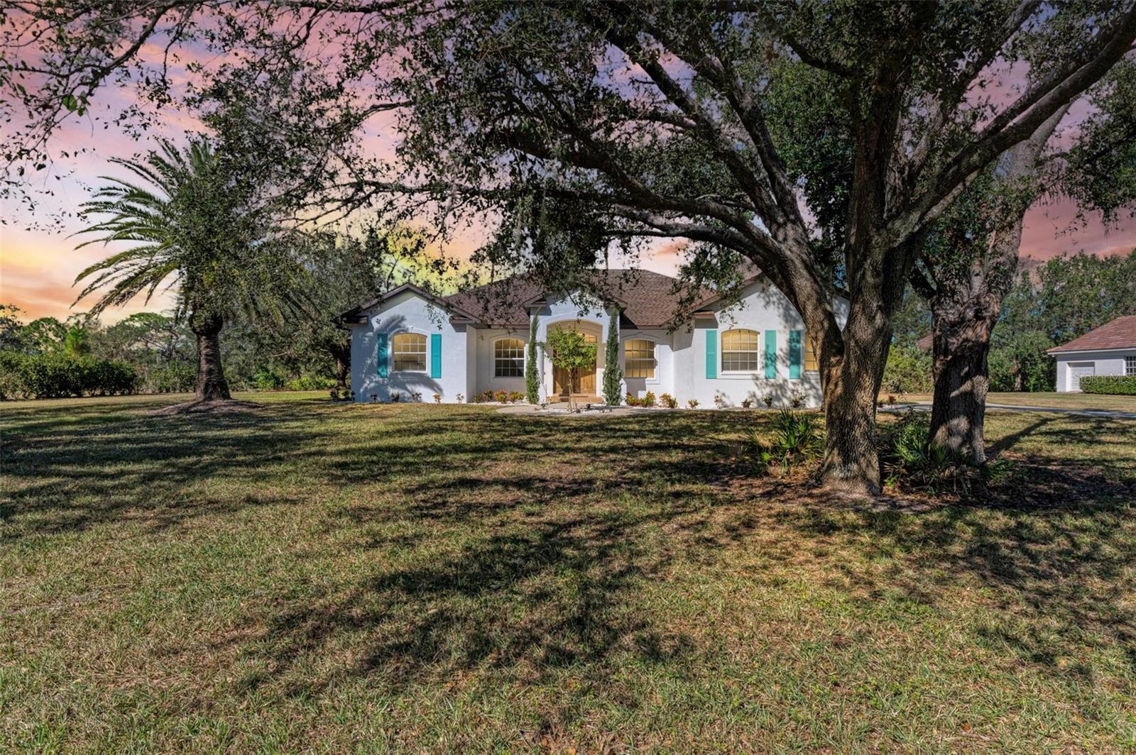 21709 DEER POINTE XING Property Photo 1