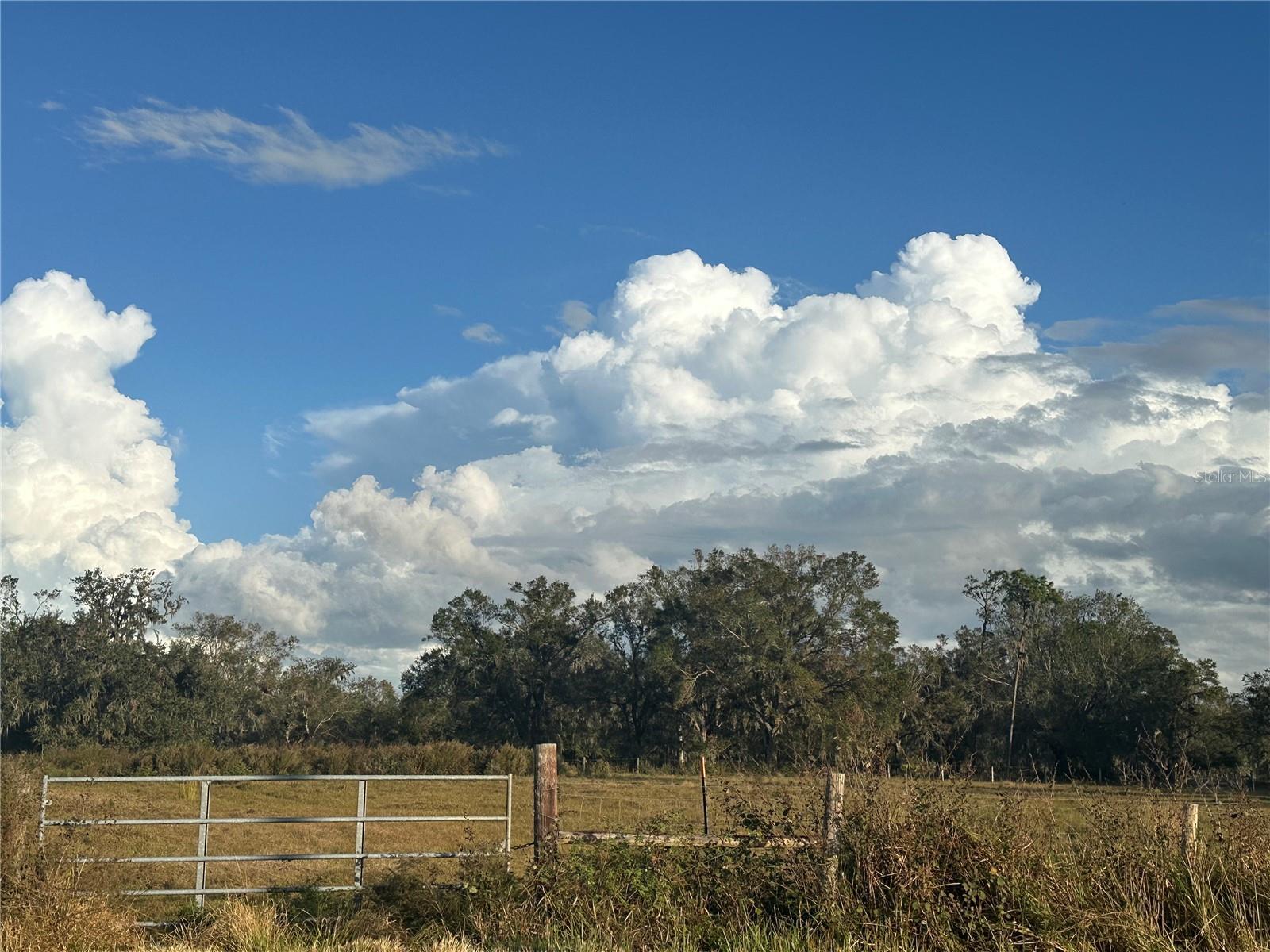 A4632685 Property Photo 9
