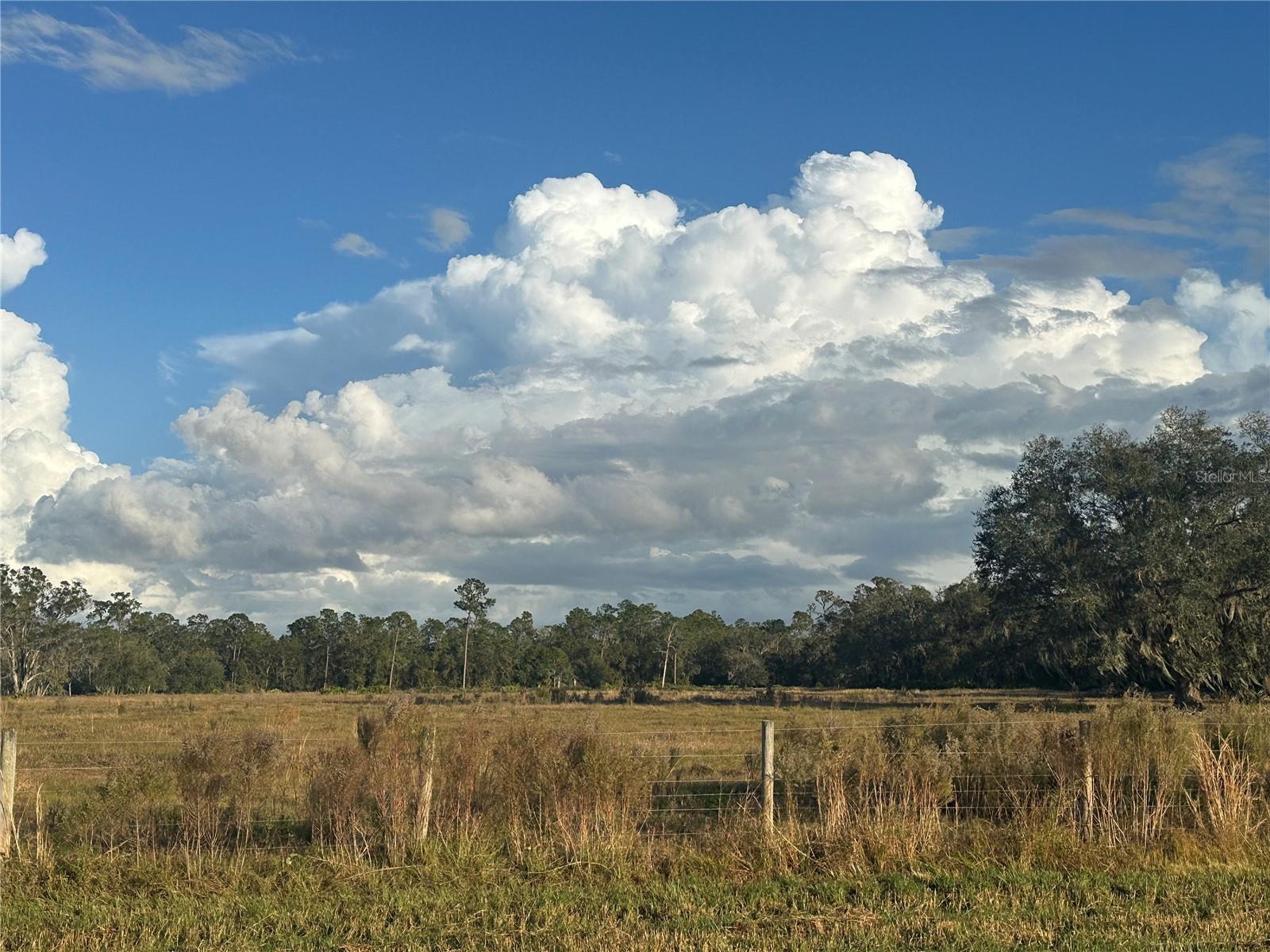 A4632685 Property Photo 10