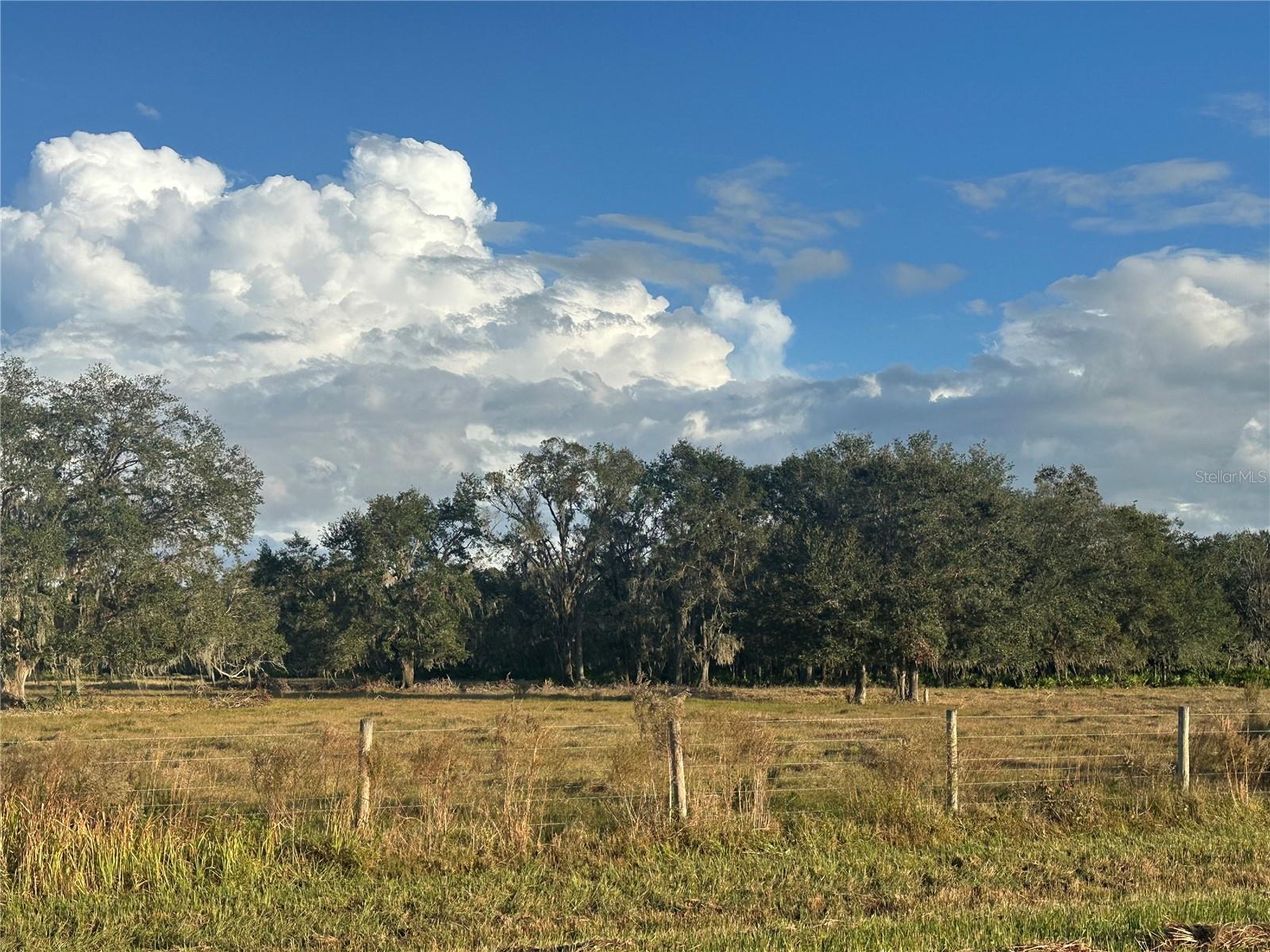 A4632685 Property Photo 11