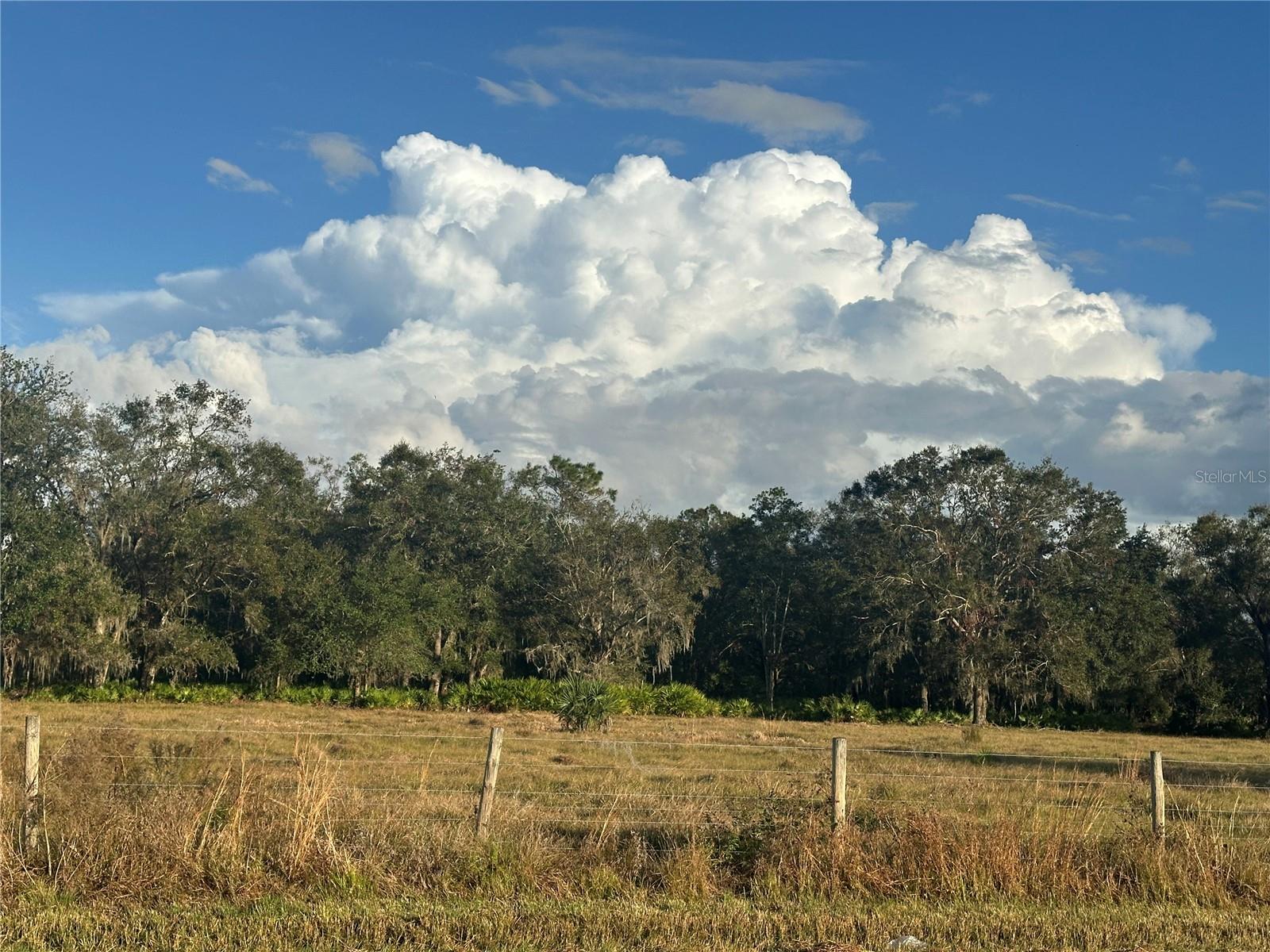 A4632685 Property Photo 13