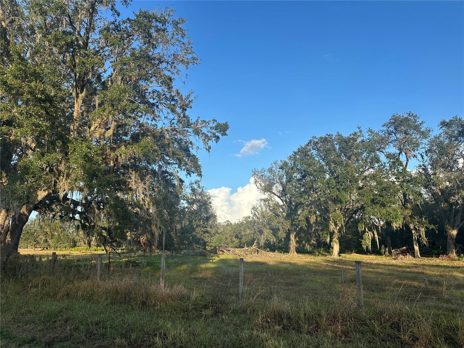 A4632685 Property Photo 17