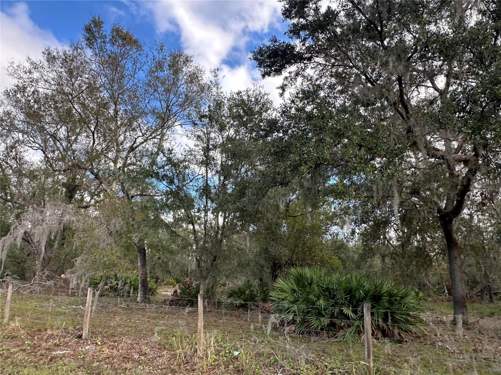 A4632685 Property Photo 21