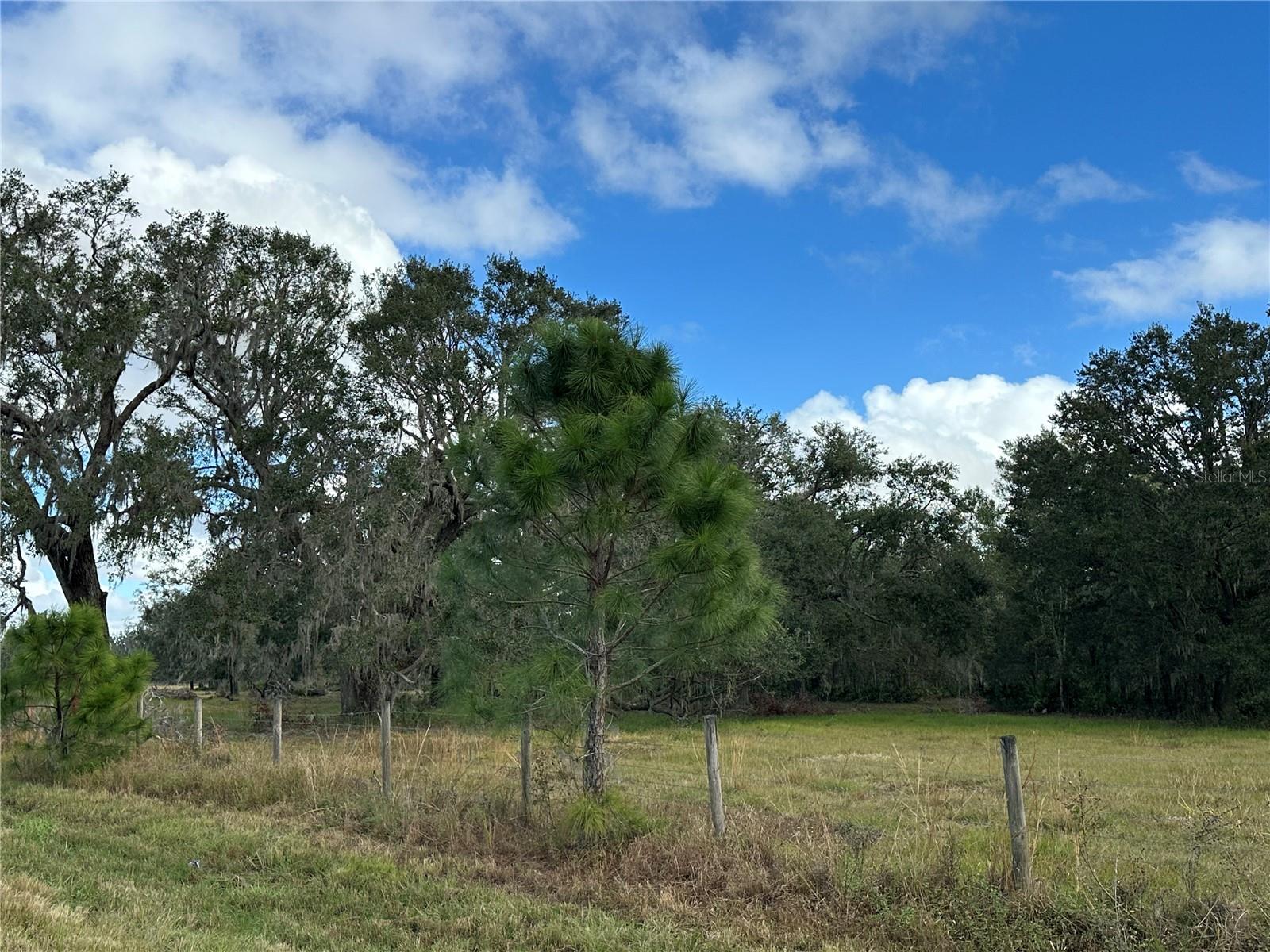 A4632685 Property Photo 22