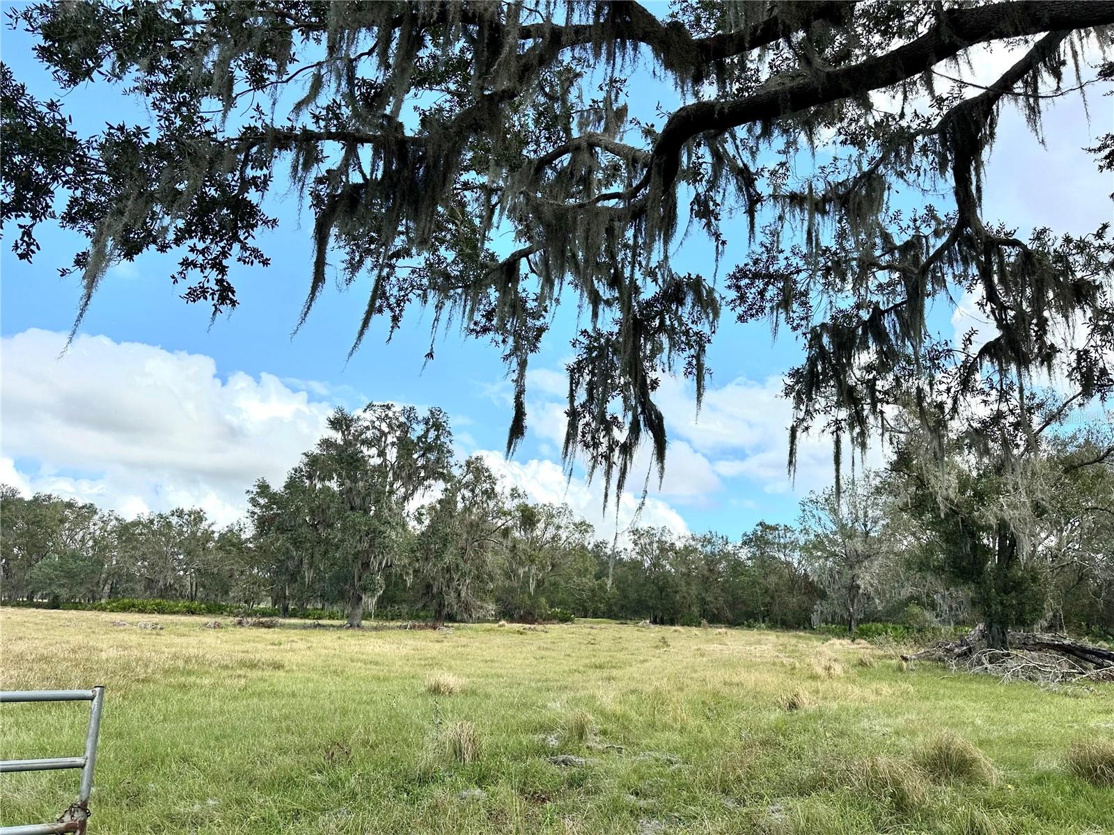 A4632685 Property Photo 24