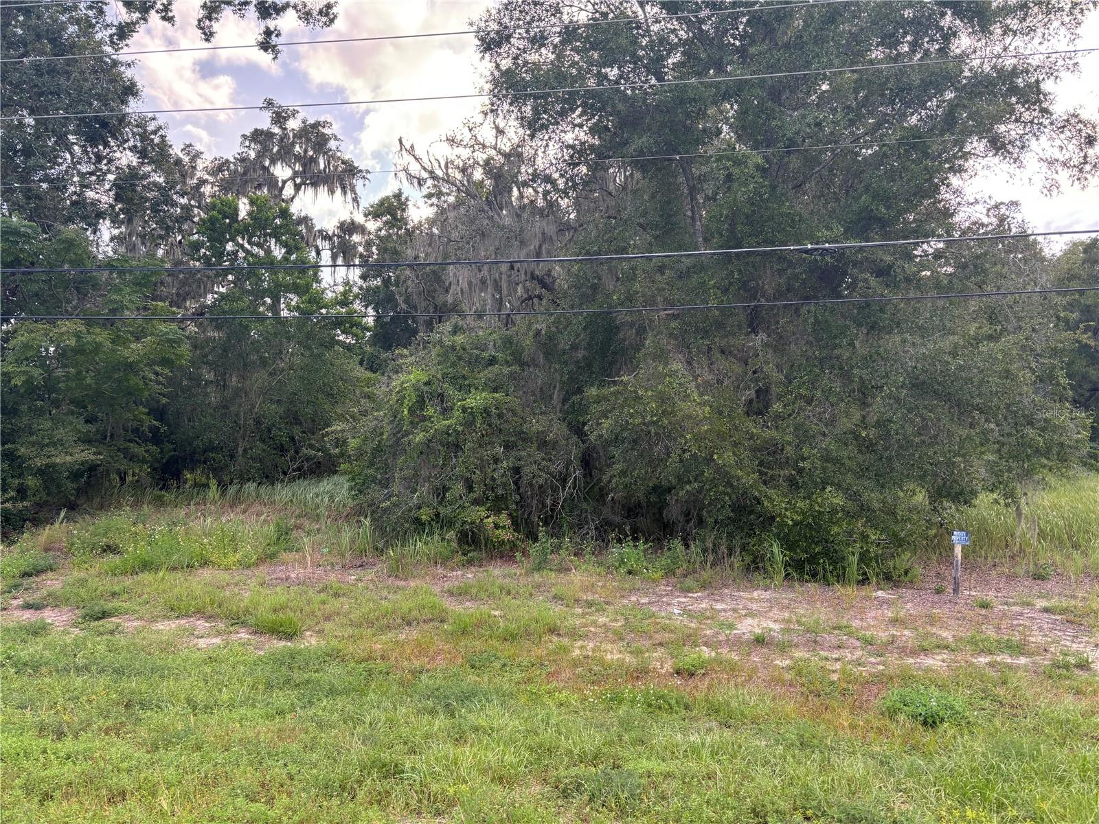 Us Hwy 301 Property Photo 7