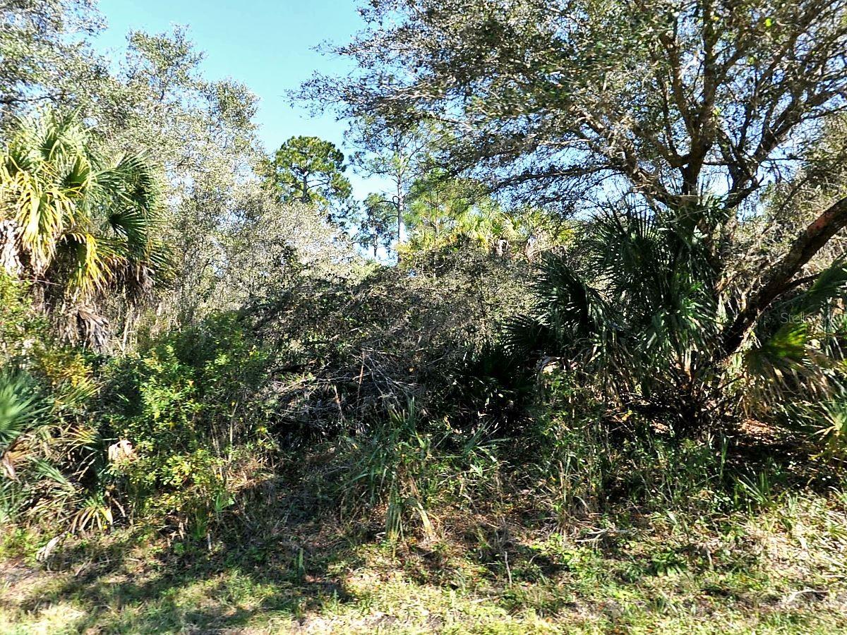 Rayfield Dr Property Photo 2