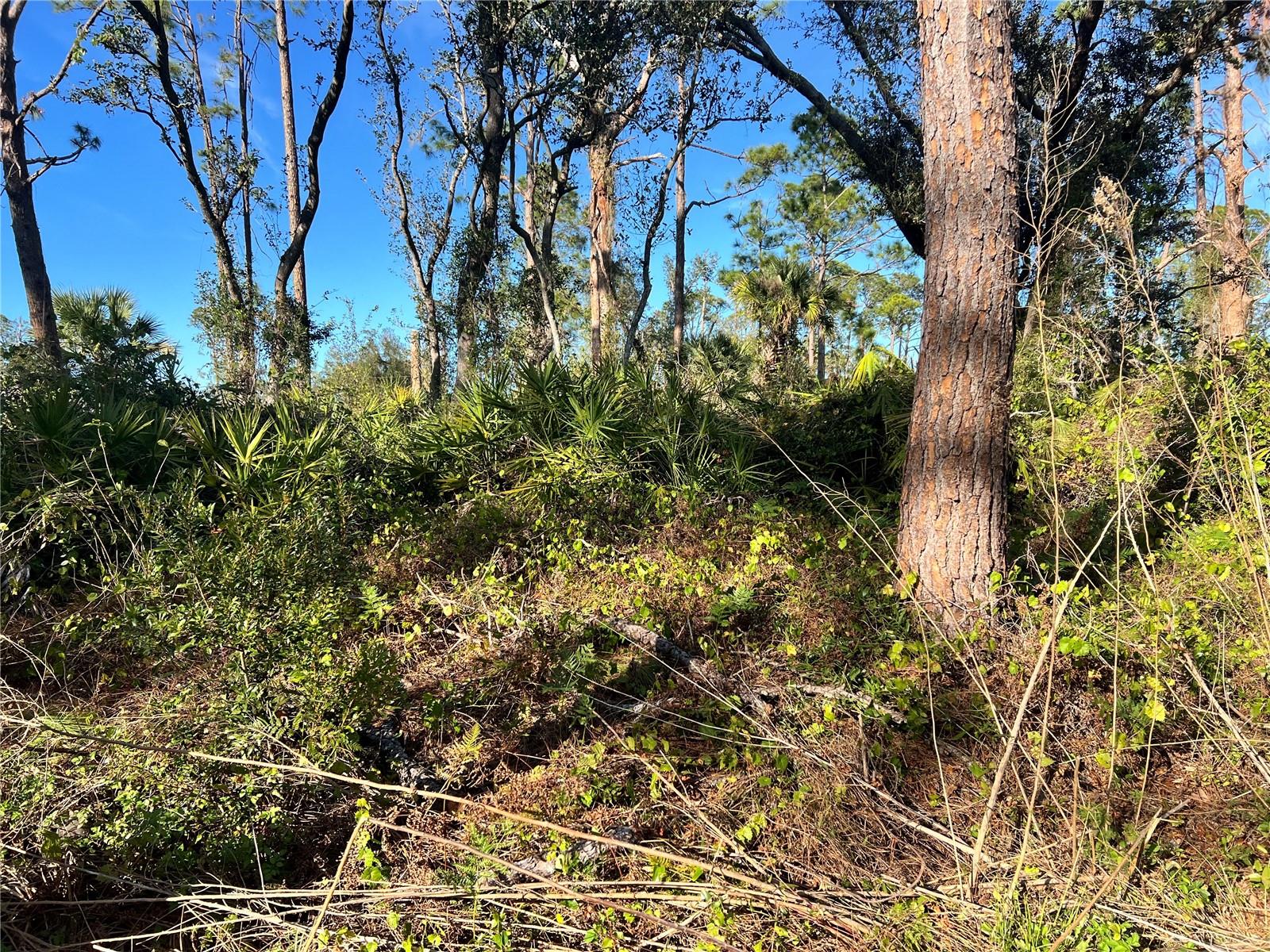 Lot 5 GRAVELMANN RD #Lot 5 Property Photo 1