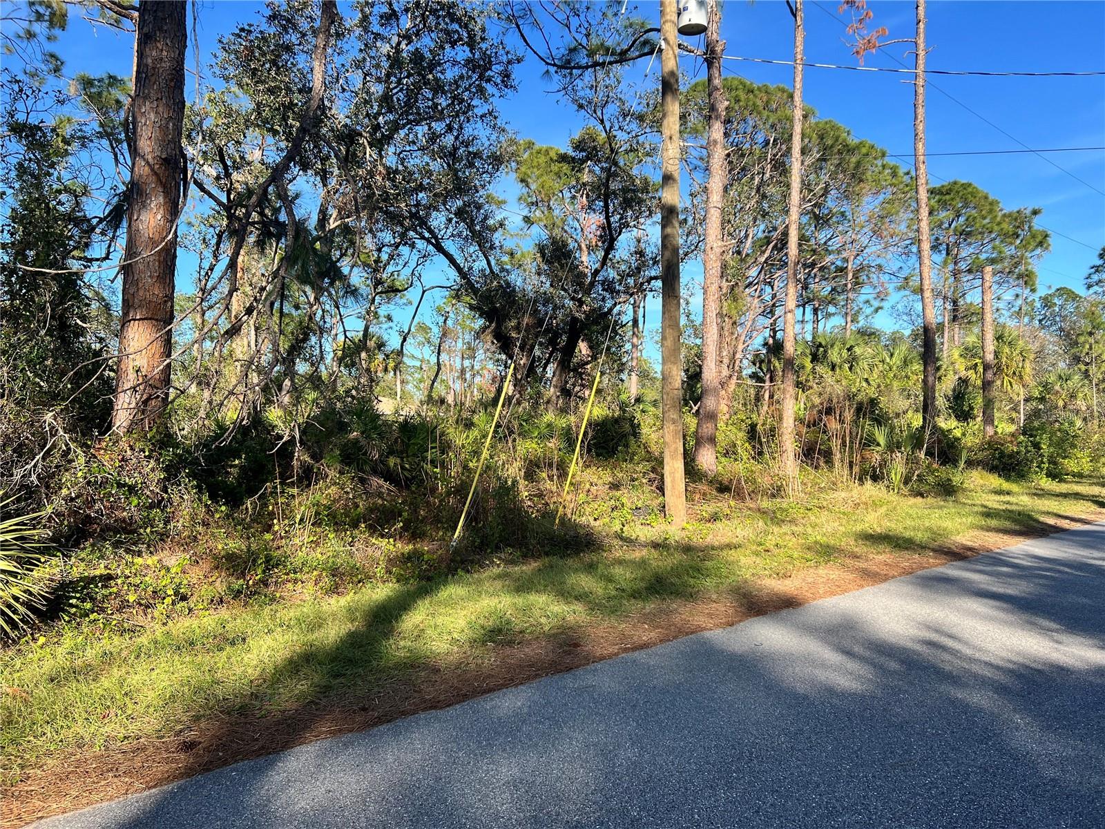 Lot 5 Gravelmann Rd #lot 5 Property Photo 4