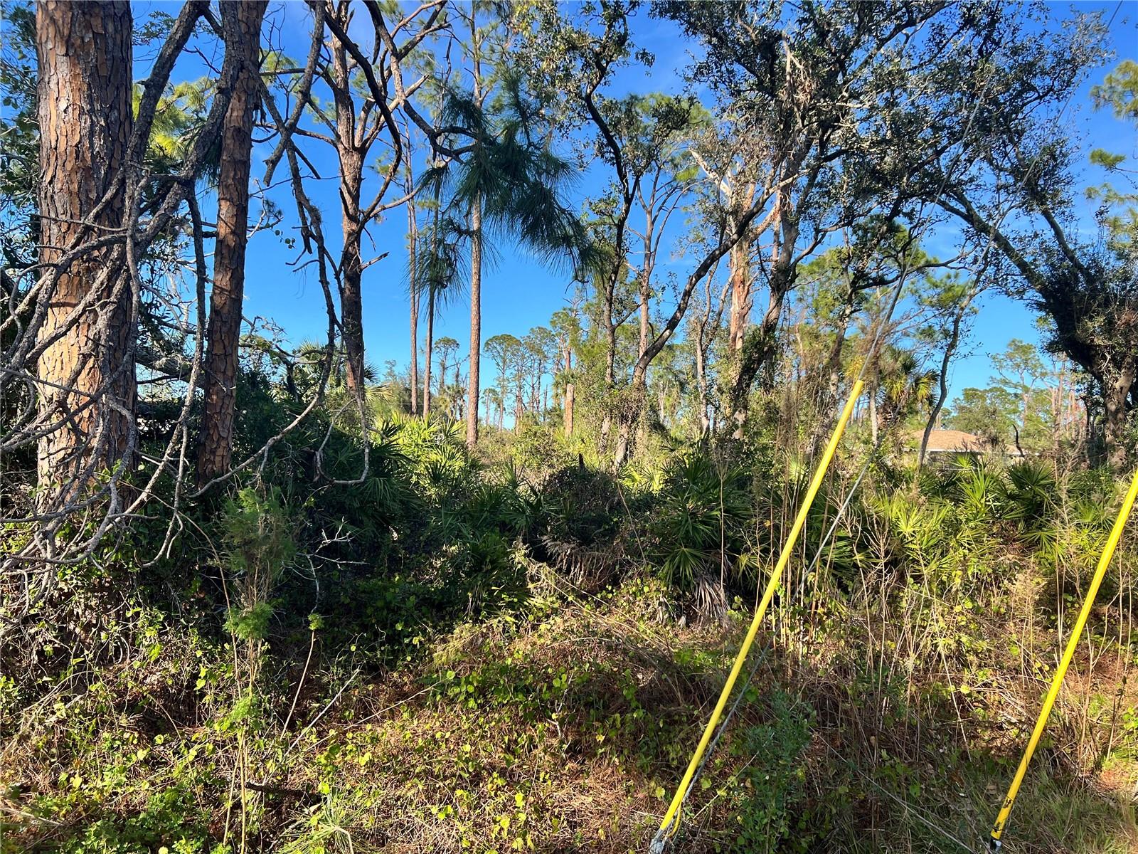 Lot 5 Gravelmann Rd #lot 5 Property Photo 5