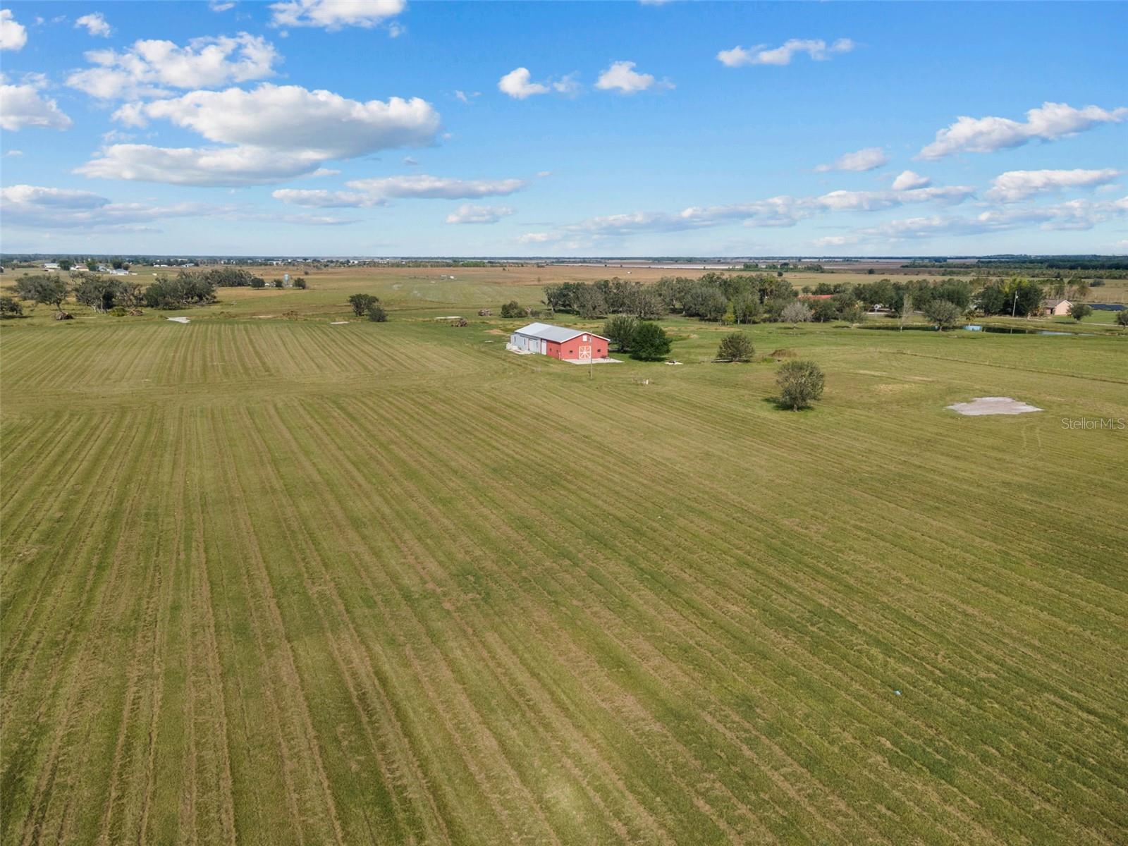 34705 Clay Gully Rd Property Photo 5