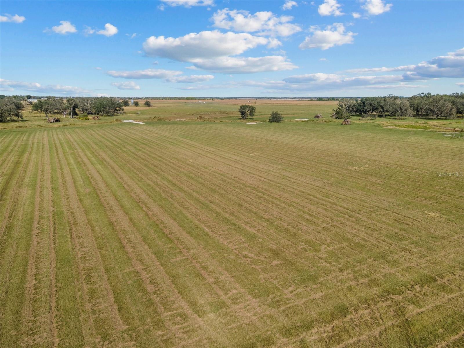 34705 Clay Gully Rd Property Photo 6