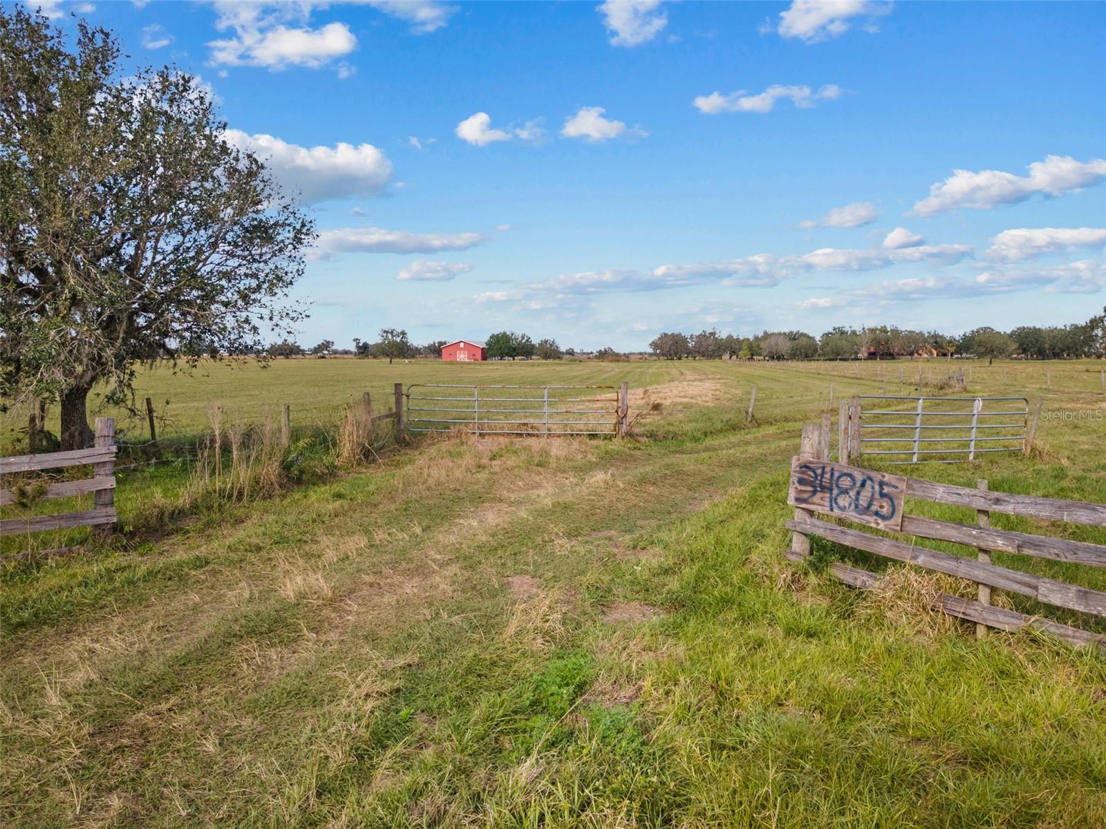34705 Clay Gully Rd Property Photo 10