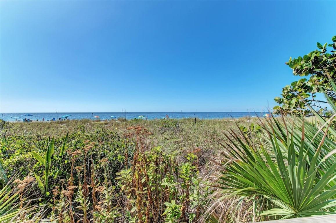 39 Bamboo Dr Property Photo 18