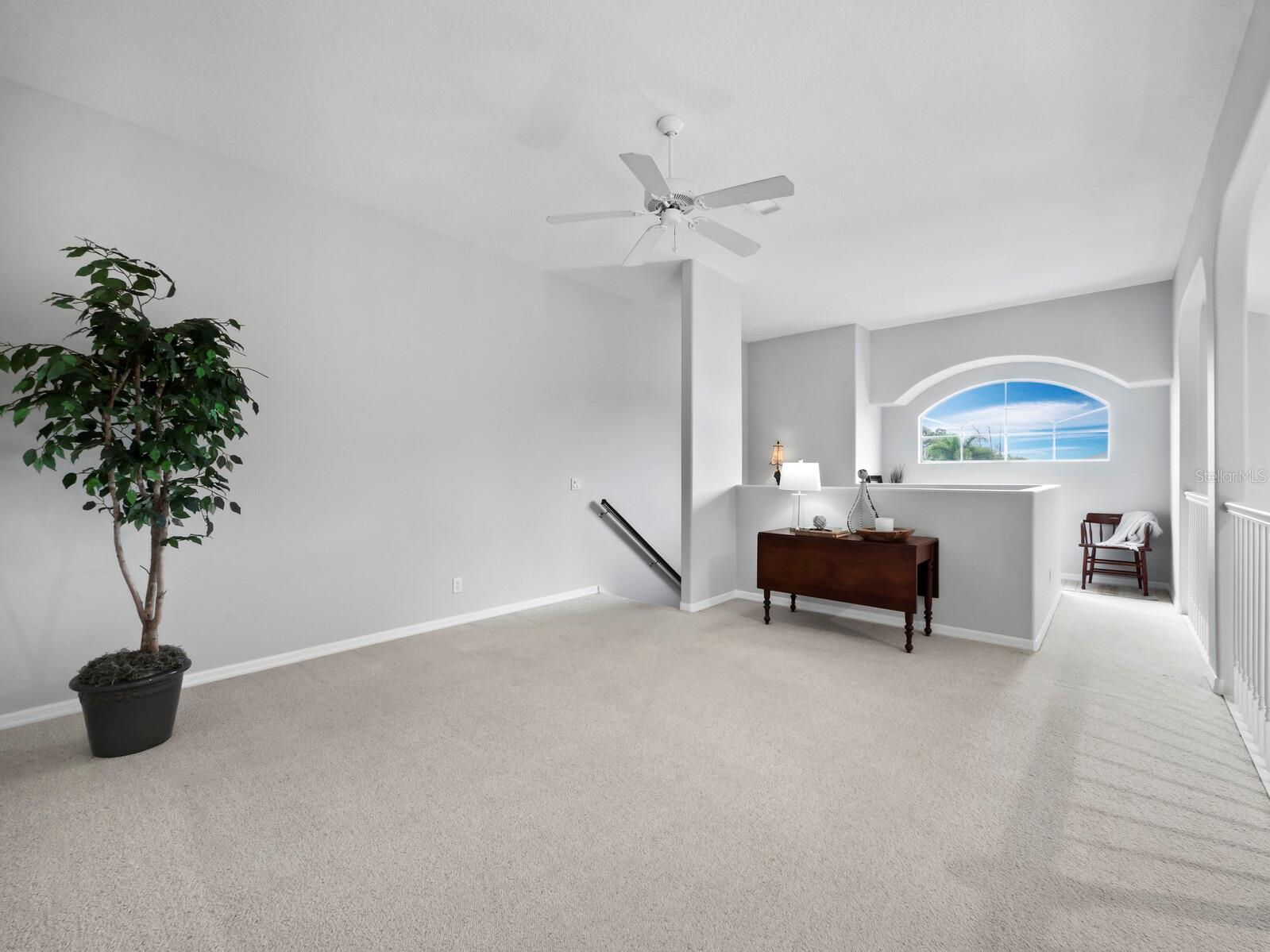 8737 Pebble Creek Ln Property Photo 43