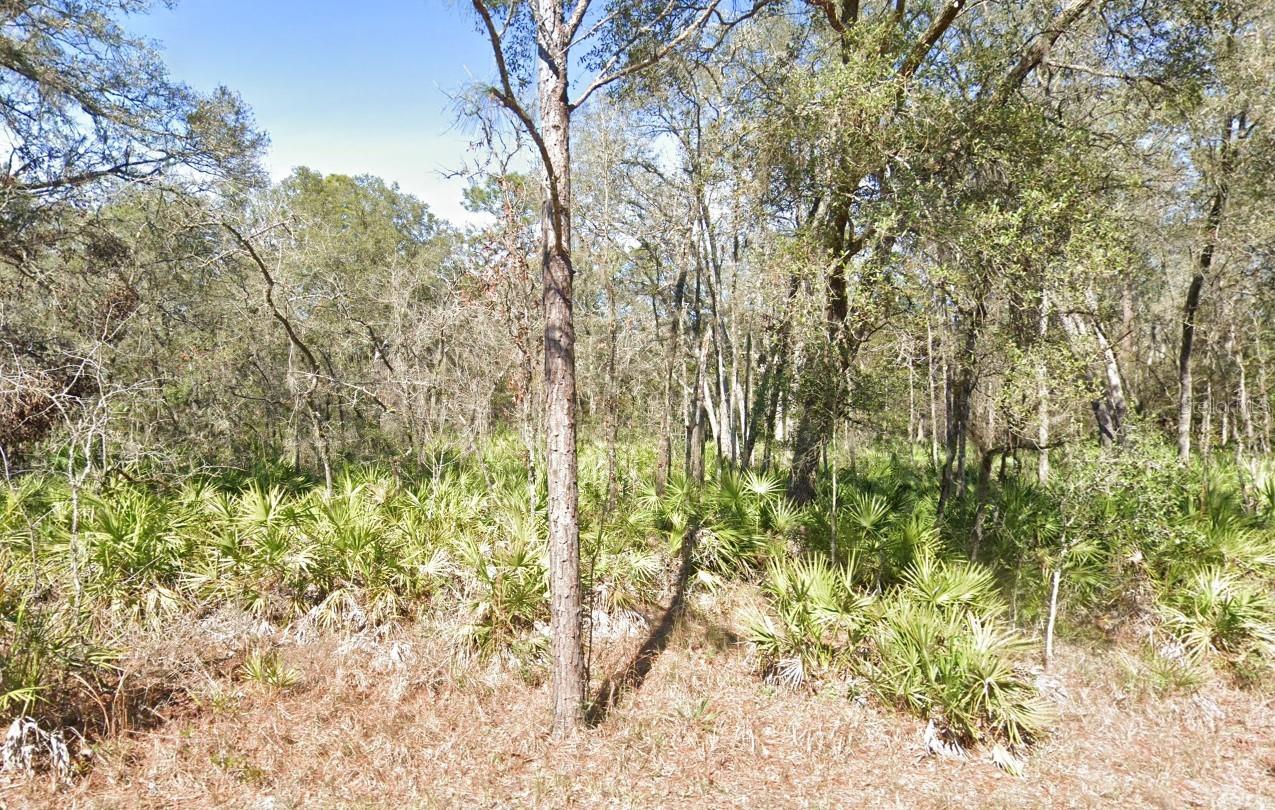 Lot 17 Overcup Dr Property Photo 1