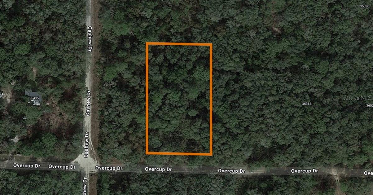 Lot 17 Overcup Dr Property Photo 2