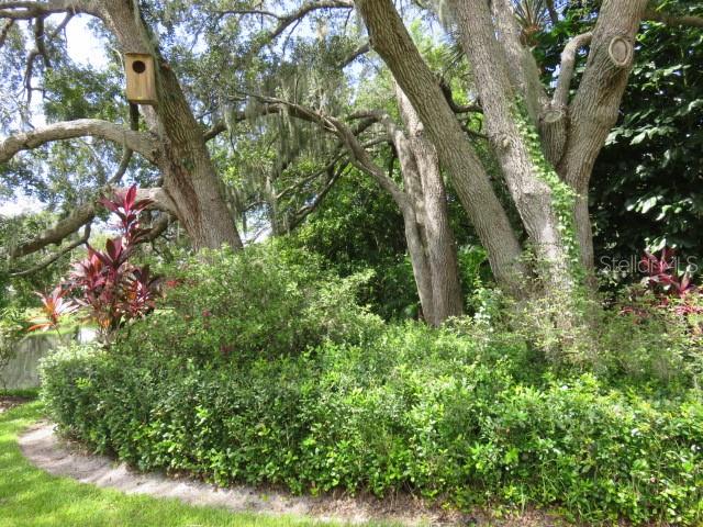 142 Pineneedle Dr #142u Property Photo 25