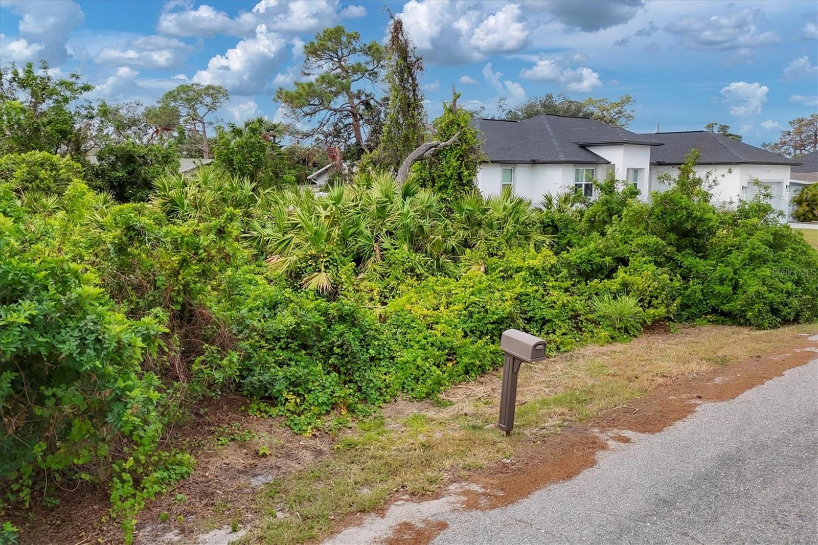 Euclid Rd Property Photo 6