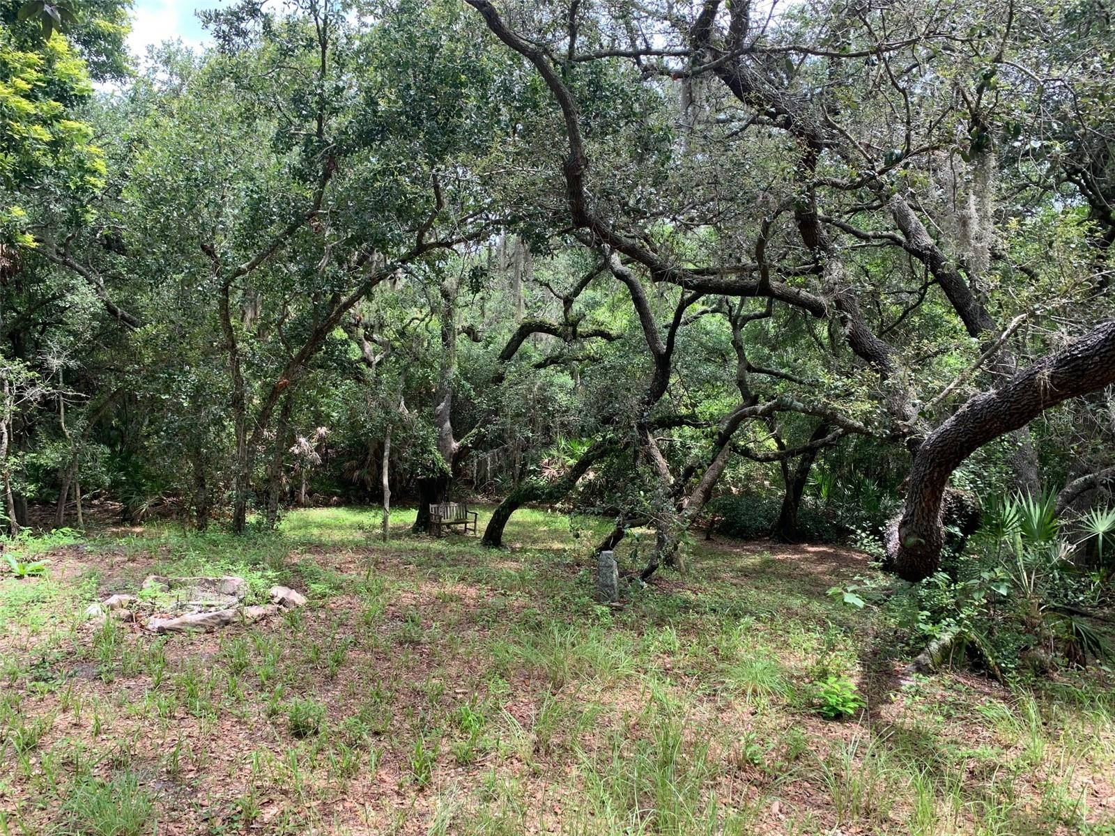 1101 Anclote Blvd Property Photo 8