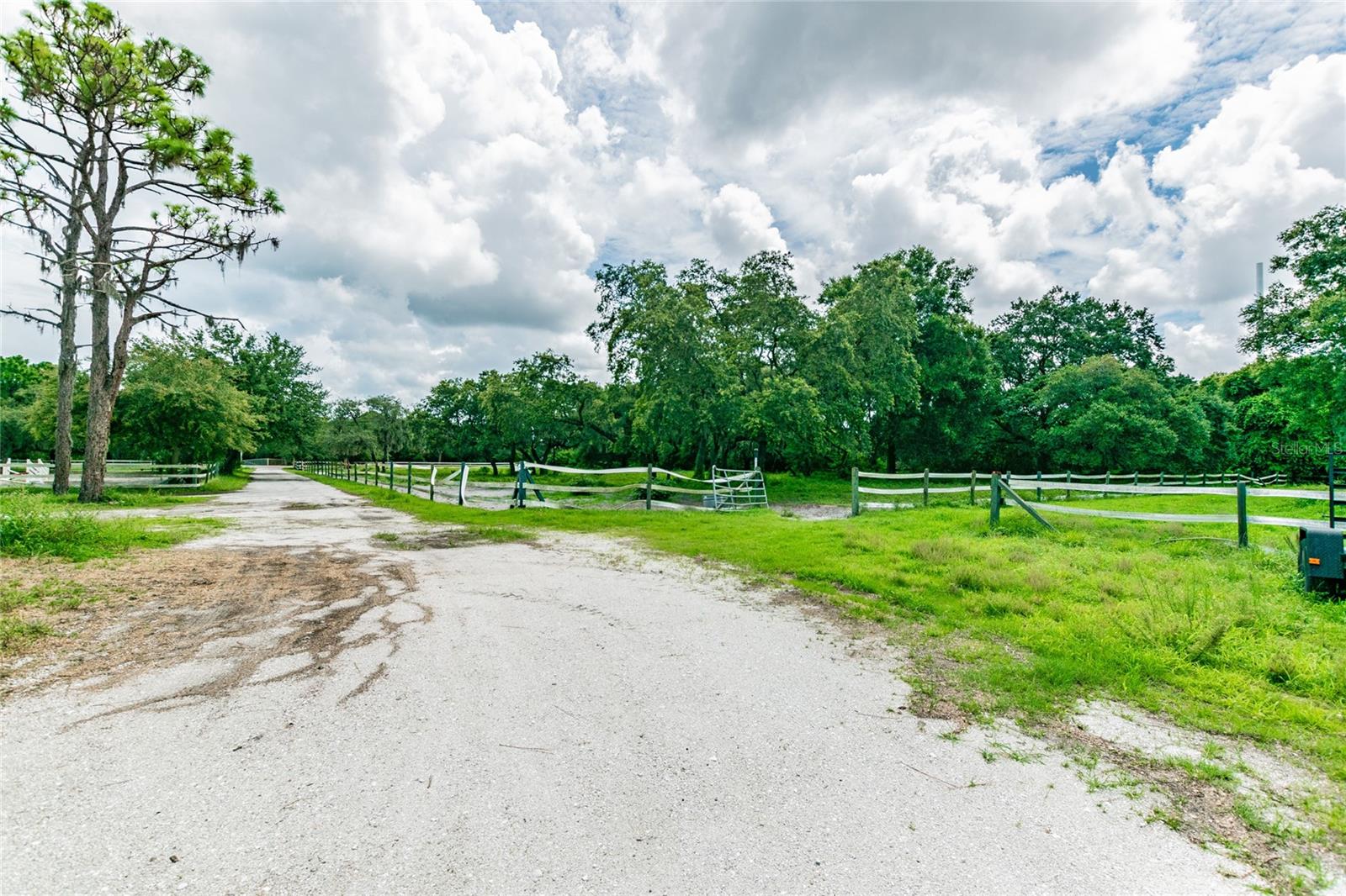 1101 Anclote Blvd Property Photo 12